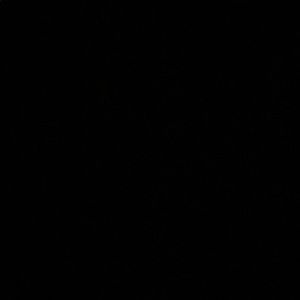 Meet your Posher, Ali